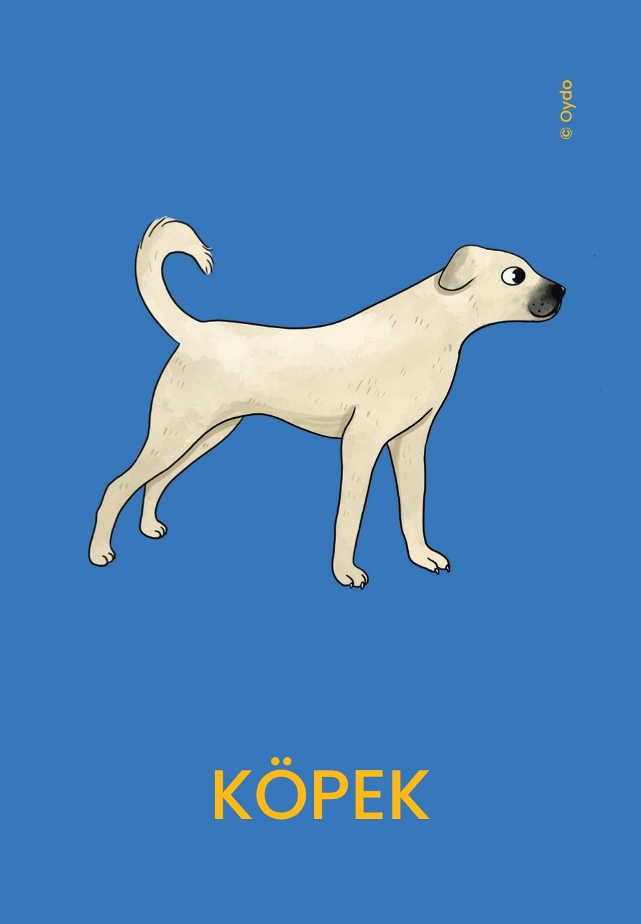 Oydo Kelime Kartları Hayvanlar 1 - Görsel 3