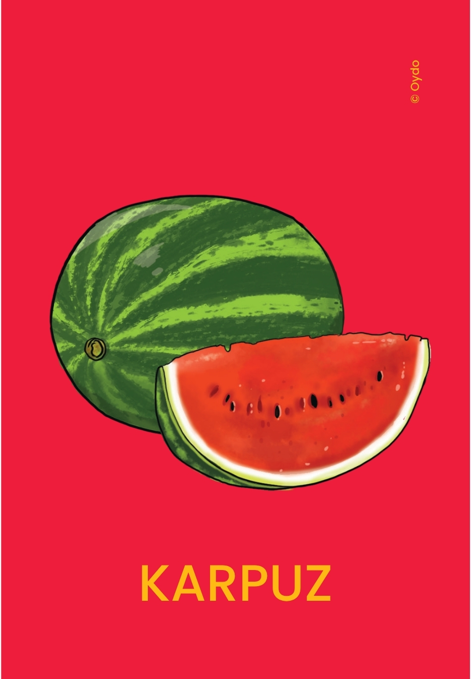 Oydo Kelime Kartları Meyveler - Görsel 5
